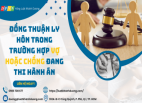 ĐỒNG THUẬN LY HÔN TRONG TRƯỜNG HỢP ĐANG THI HÀNH ÁN PHẠT TÙ